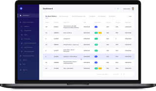 Migration of a Legal Case Management System to the .NET Framework