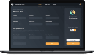 Credit Scoring SaaS App for Financial Organizations