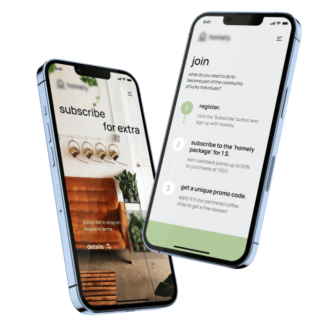 landing page for promotional campaign